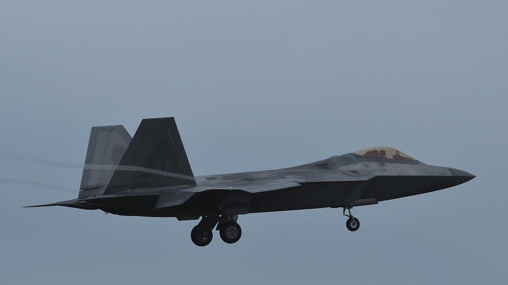 いくりん大佐@鷲を積め団 コムコム団 ひまわり会 tweet media