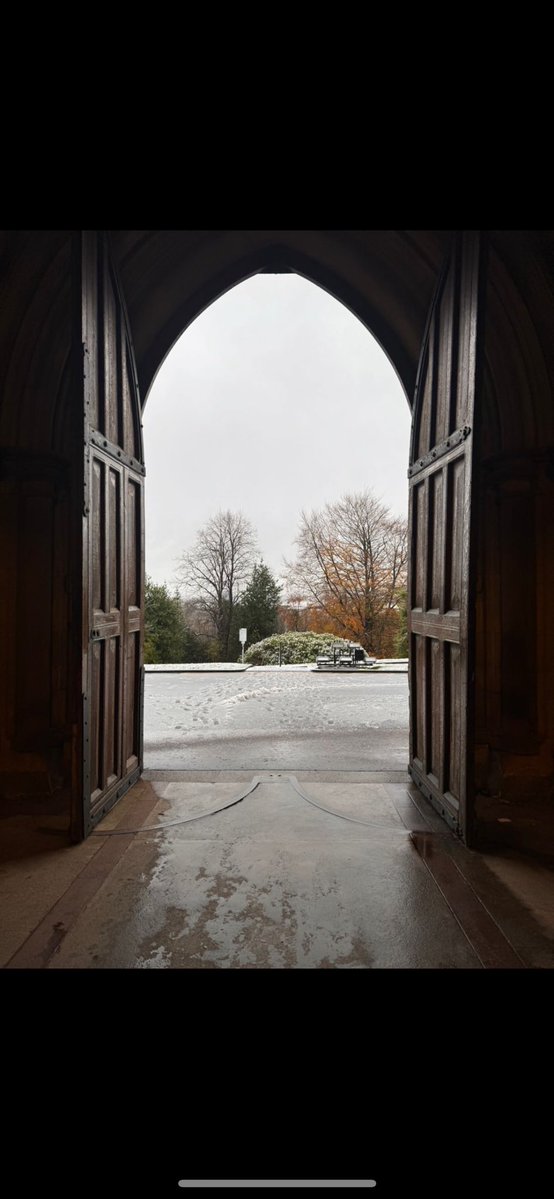 بدرية محمد آل جابي tweet media