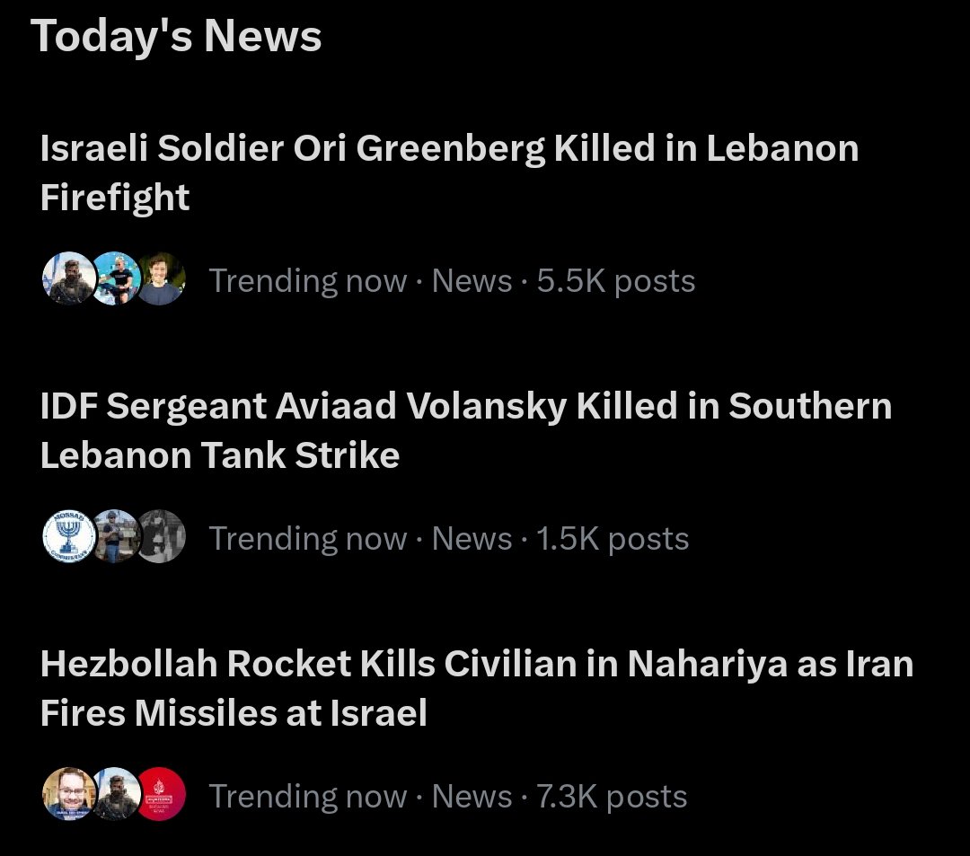 Steve the Bird 💙🏴‍☠️🍉🇪🇸 tweet media