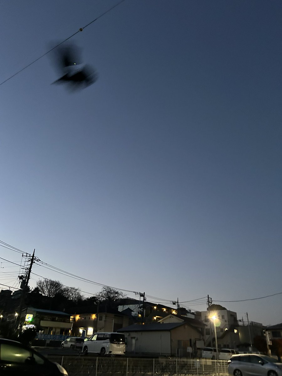 emasondad's tweet image. おはようございます
快晴の金曜今日は暖かくなるねヒノキ全開かもしれんඉ_ඉ
イマソラ撮ってたらカラスがフレームイン
いってきます
なう(2026/03/27 05:17:09)
#イマソラ 
#ThreeDogNight
 open.spotify.com/track/2F8U2IXo…