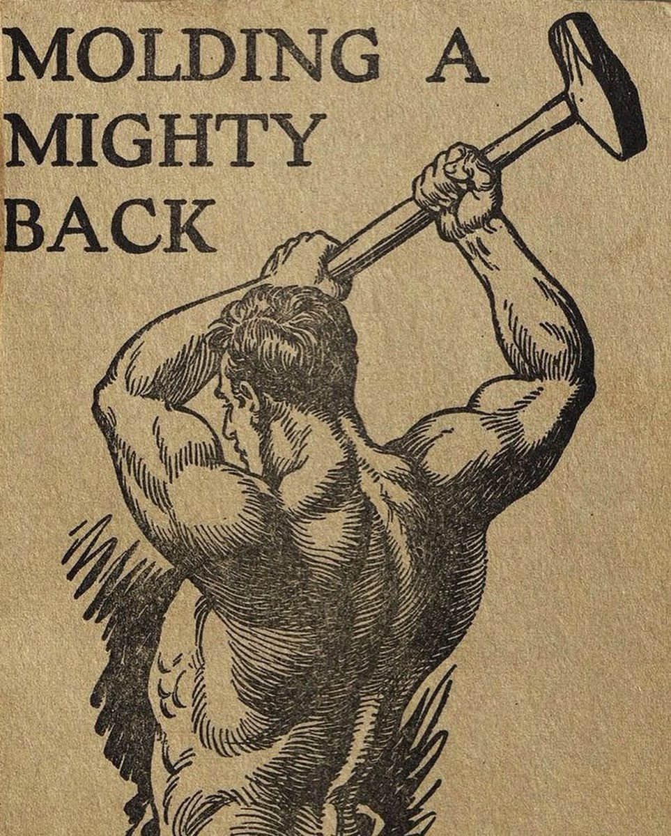 Testosterone Aesthetics (@maxyourtest) on Twitter photo 