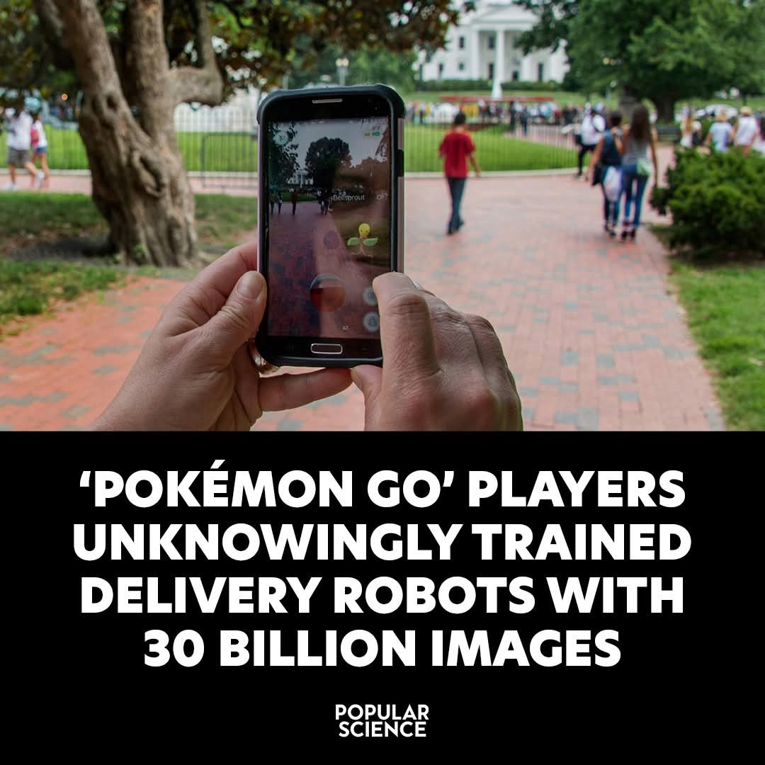 ShawnTheTrail 🇨🇦🐢 tweet media