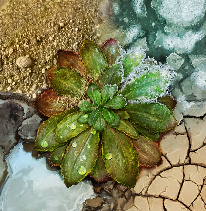 El Independiente de Granada tweet media