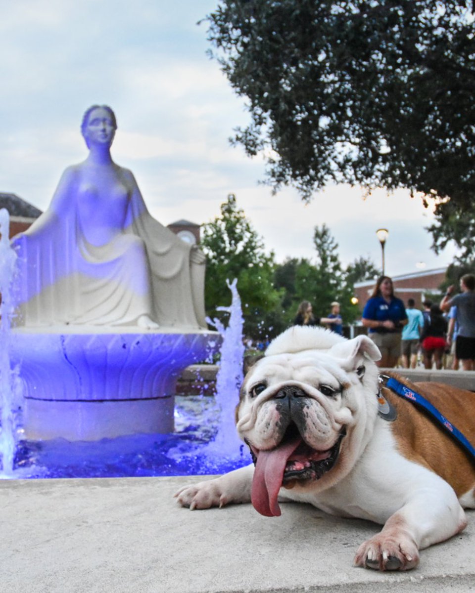 LA Tech Alumni tweet media