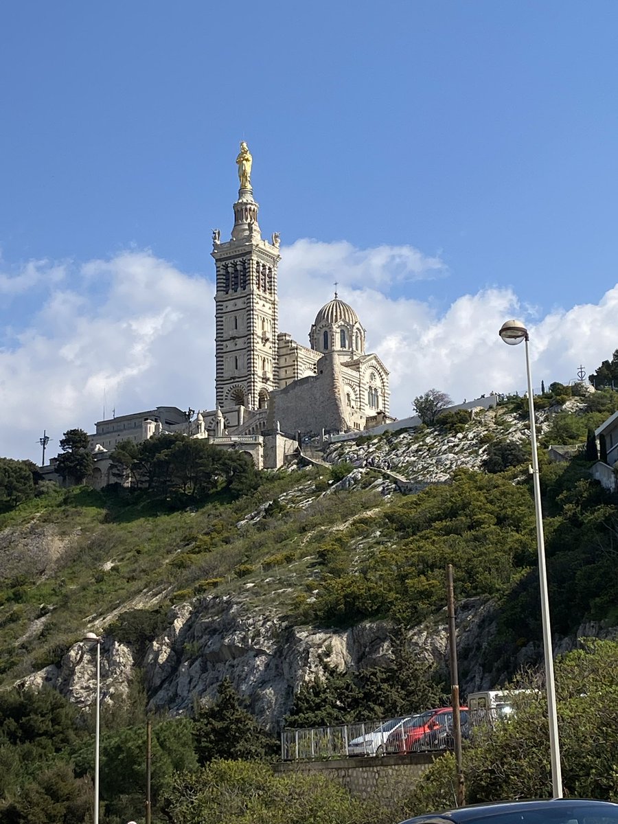 Cate Field 💚🤍💜 tweet media