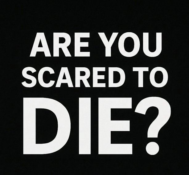 Emily 🦋 tweet media