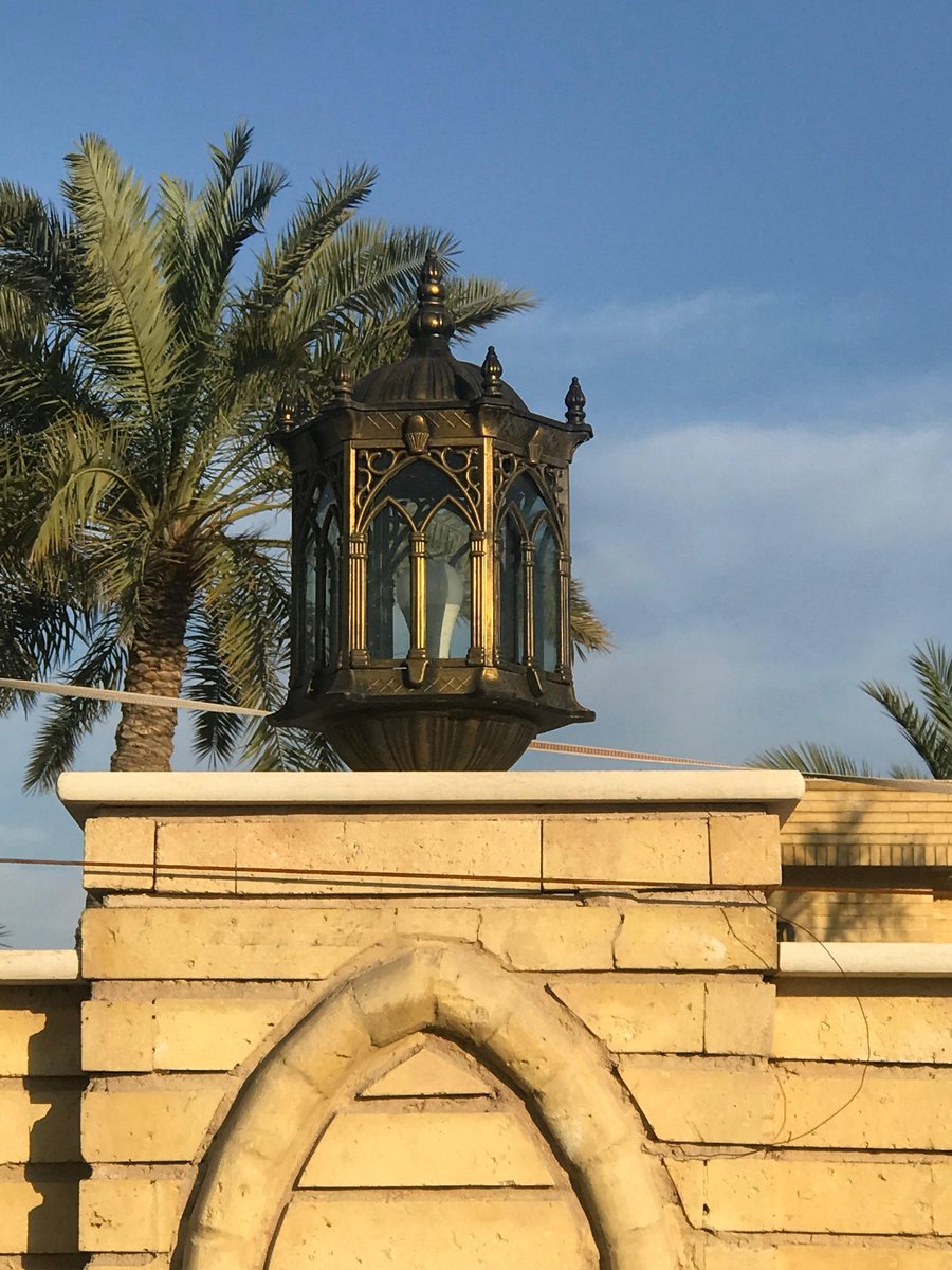 زَهر tweet media