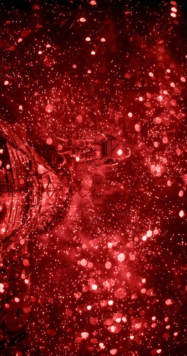 koreanoli tweet media