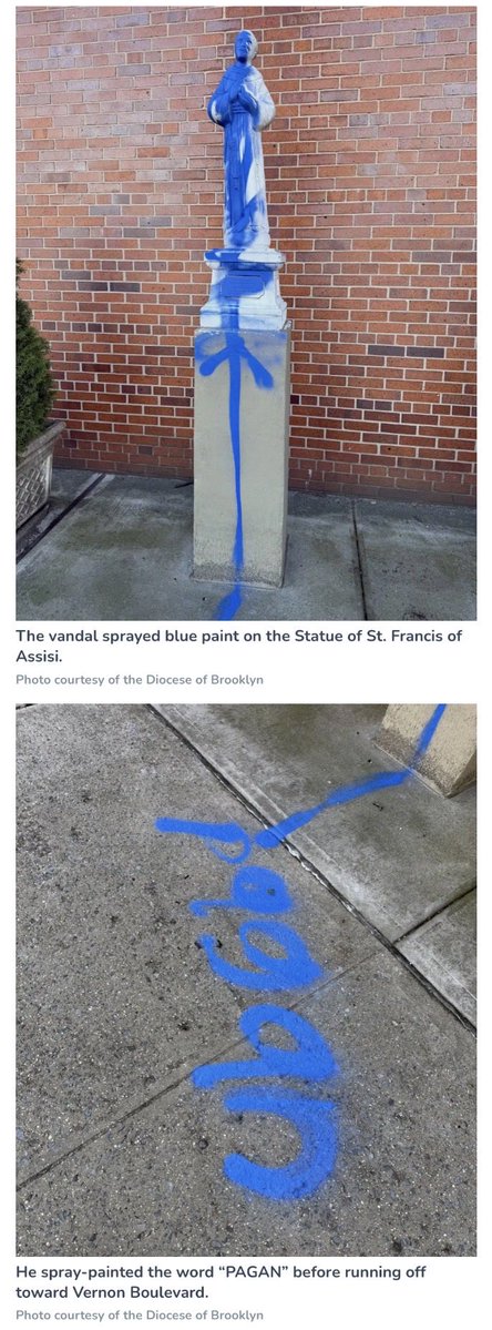 The Daily Sneed™ tweet media