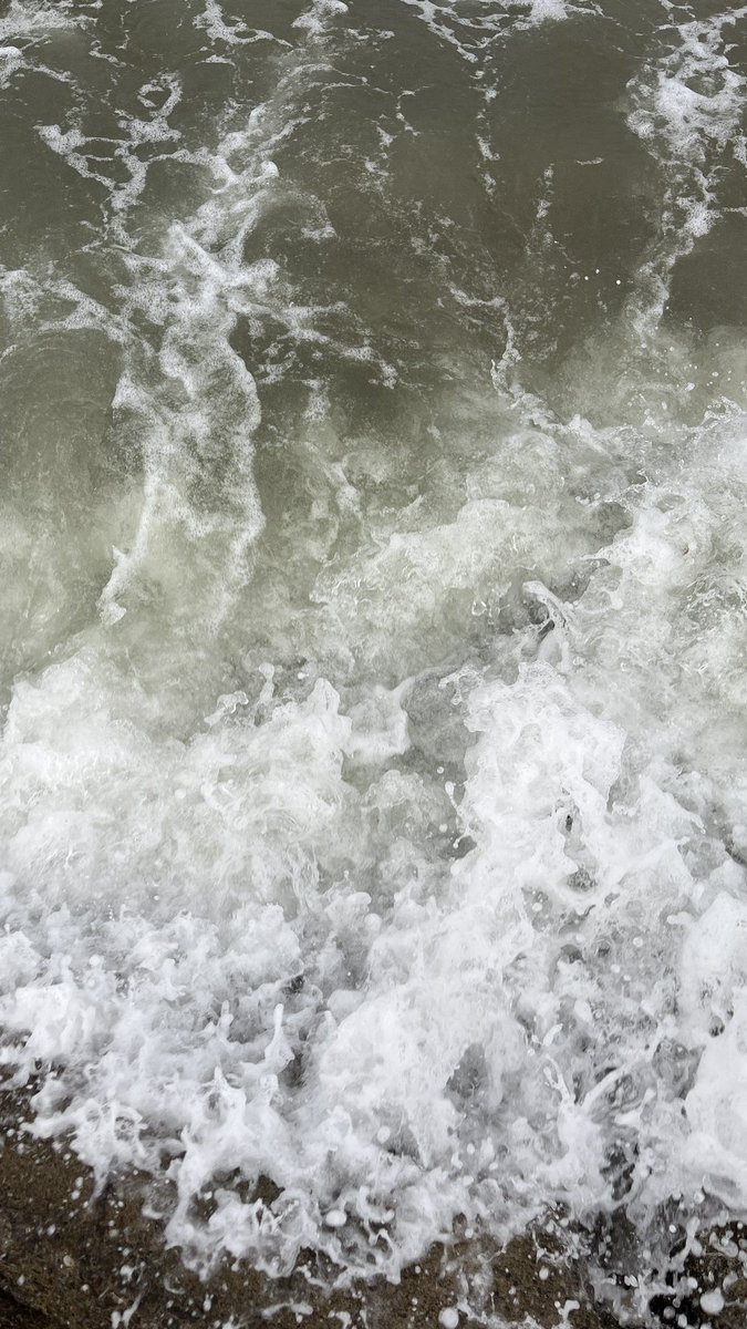 مُحمَد tweet media