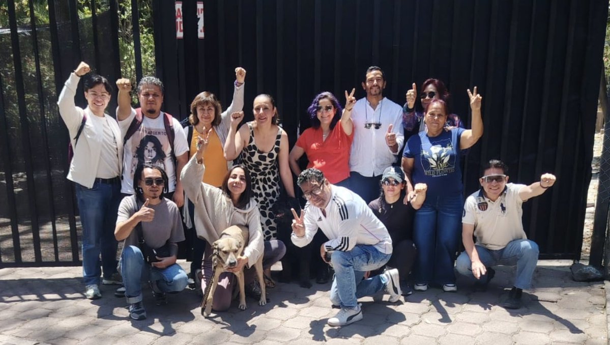 Violeta Horcasitas tweet media