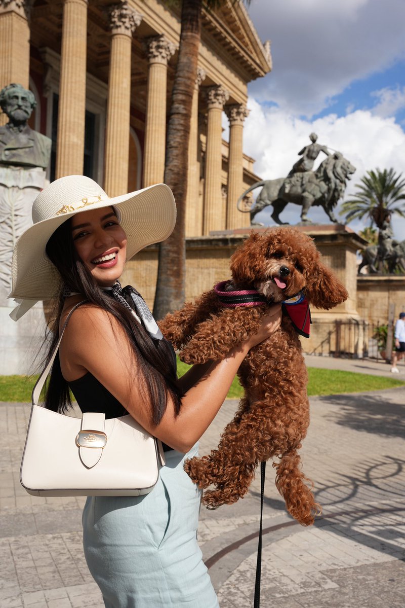 Cotufa Way | Travel With Your Dog tweet media