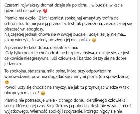 Robwalka Wolf tweet media