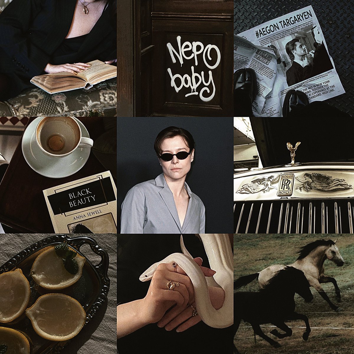 nora ⭑ tweet media