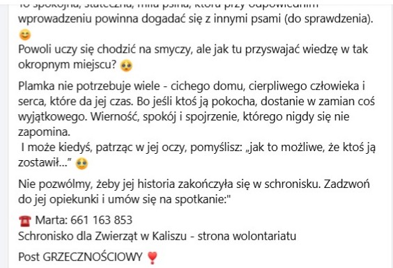 Robwalka Wolf tweet media