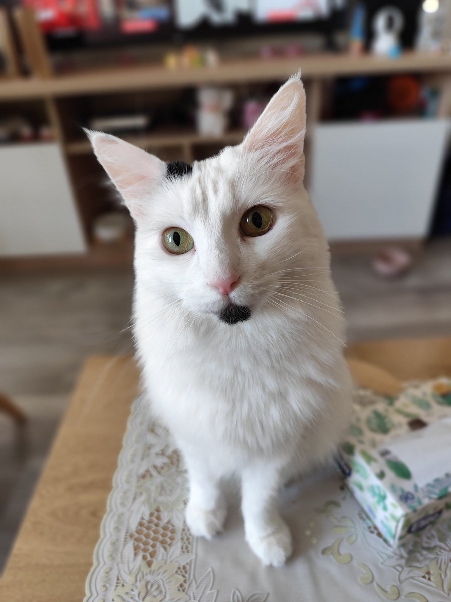 Buenas tardes tíos y tías 💖✨