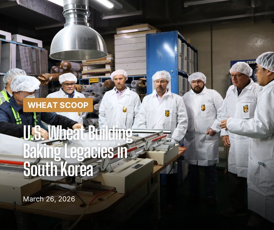 KansasWheat tweet media