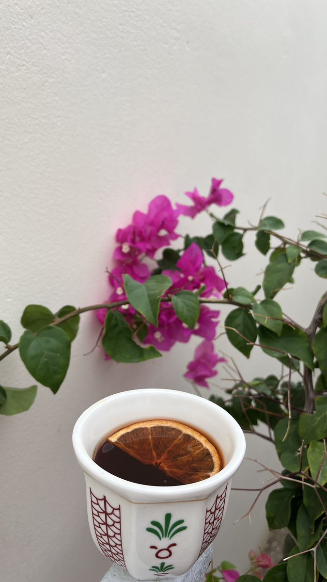 مُحمَد tweet media