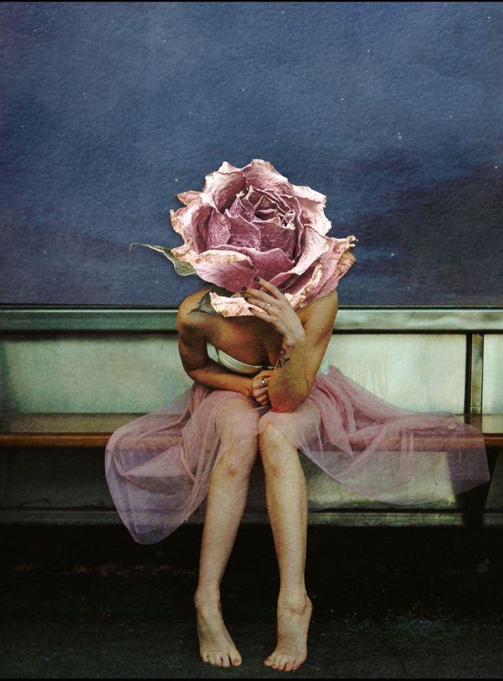 الشاعرة ليلى إلهان tweet media