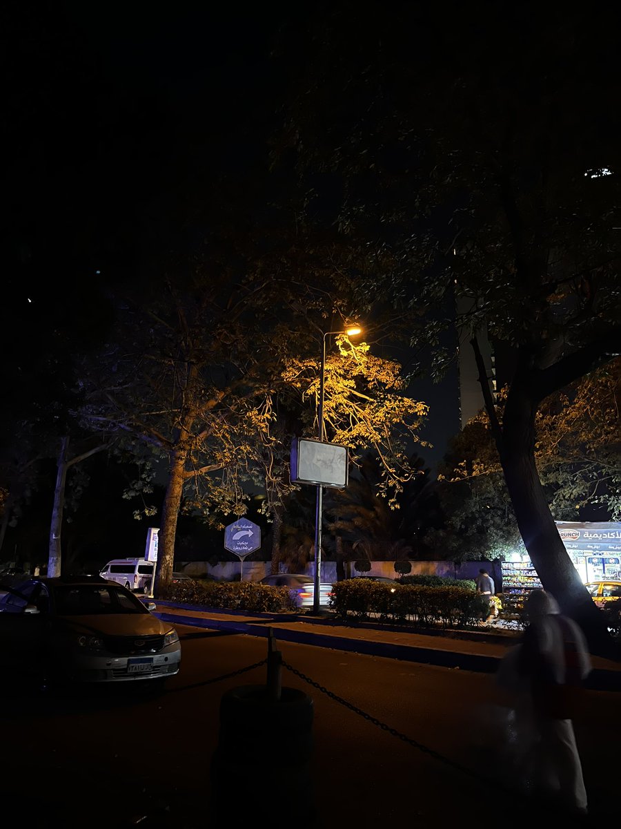 رُبا tweet media