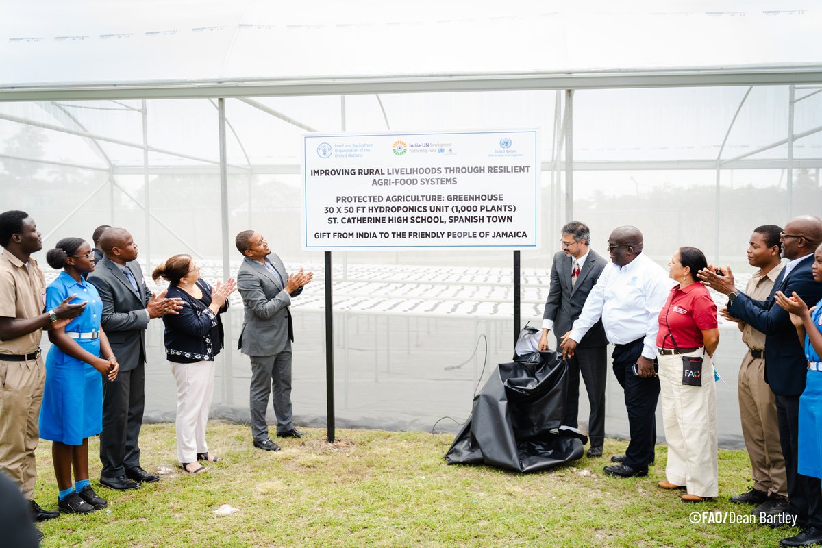 FAO in the Caribbean tweet media