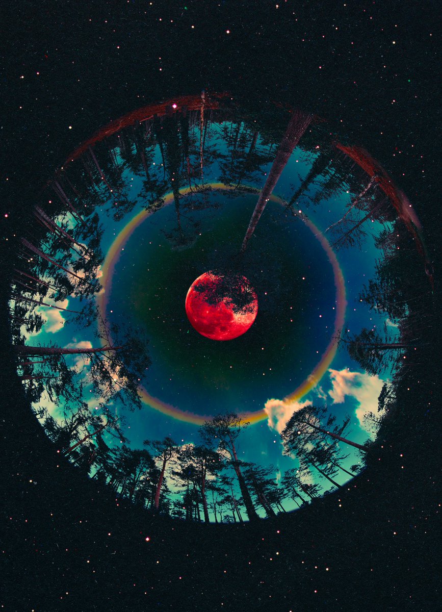 post wook ✨🌻 tweet media