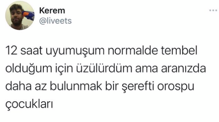 İT KÖPEK A.Ş. (@itkopekas_) on Twitter photo 