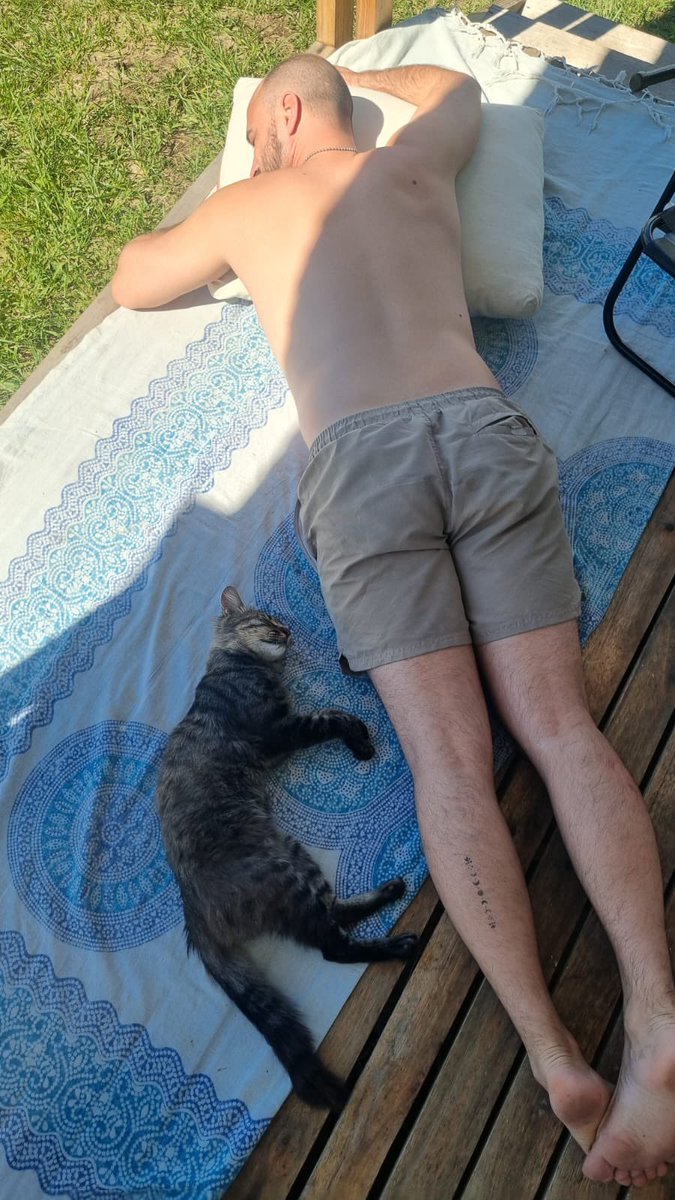 El Princeso 👑 tweet media