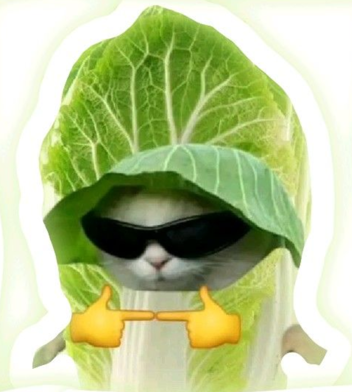Lettuce tweet media