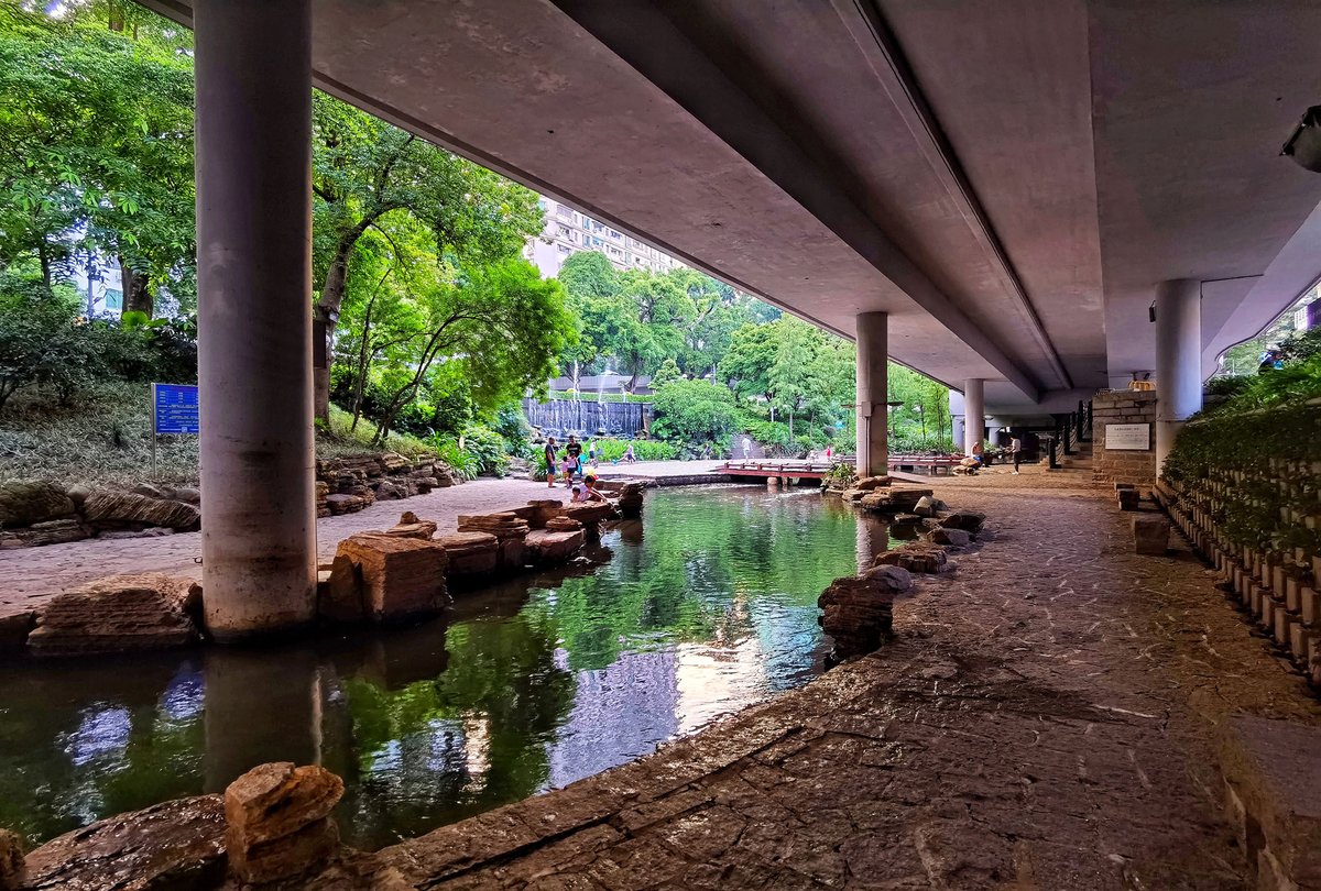 momo看世界 tweet media