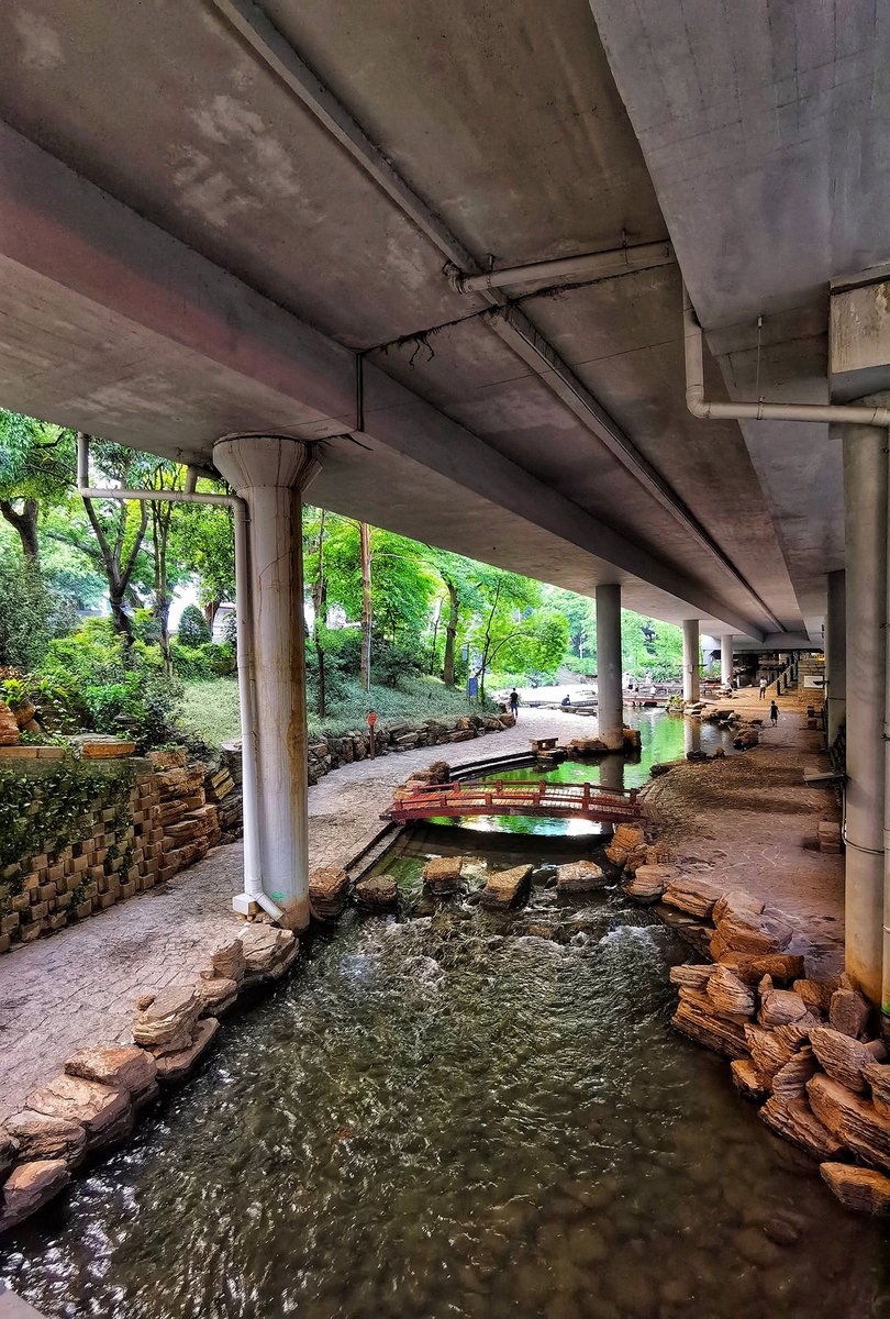 momo看世界 tweet media