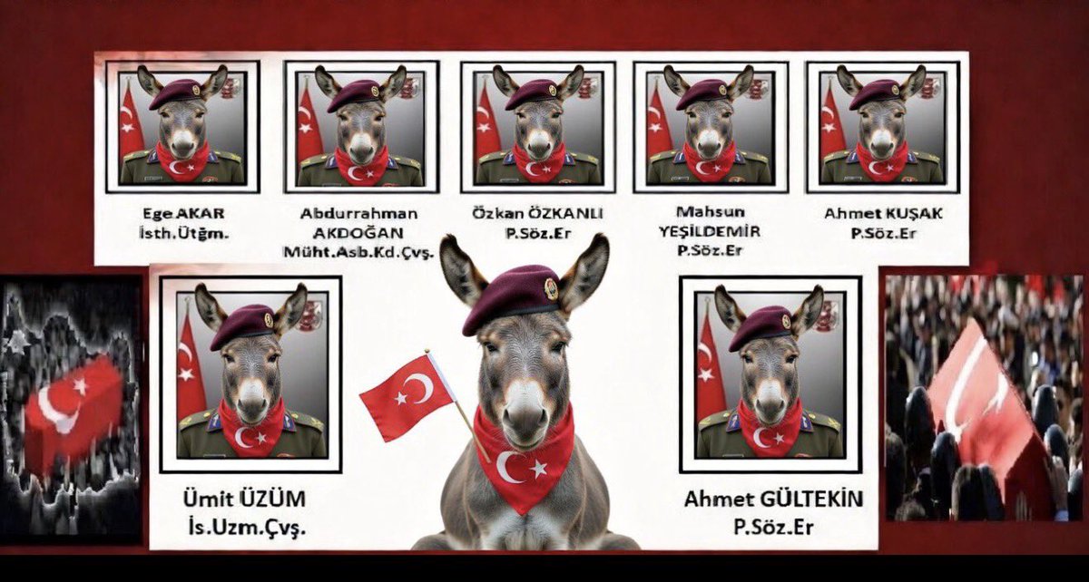 Roobinn Konak tweet media