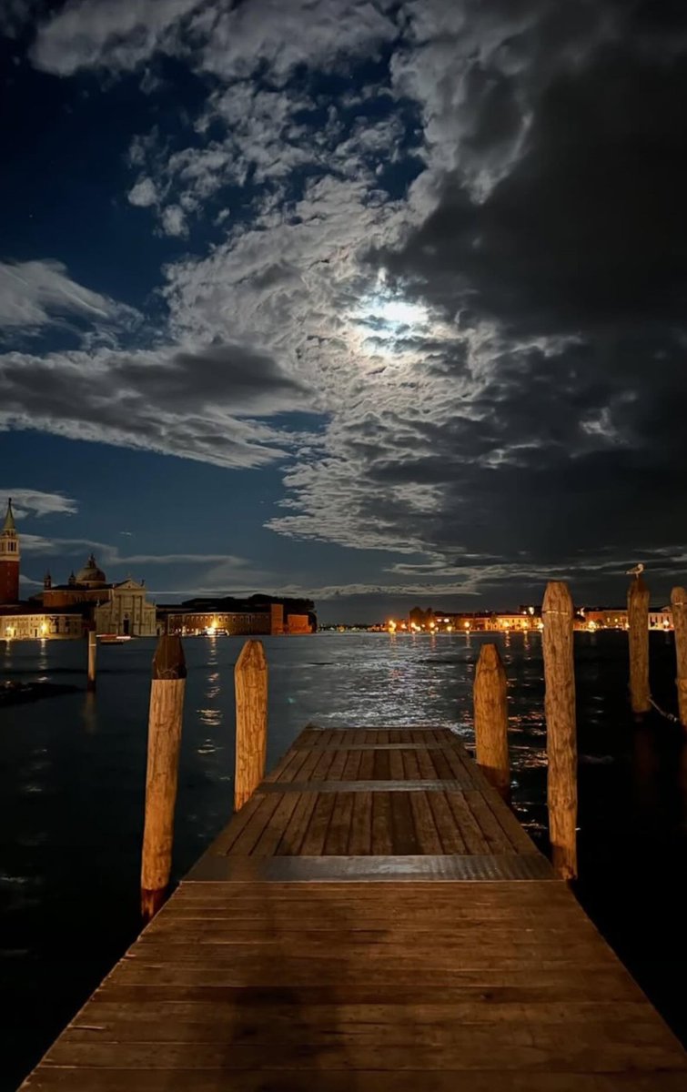 Monica 🍀⚘️🌍📚🐞🎧 tweet media