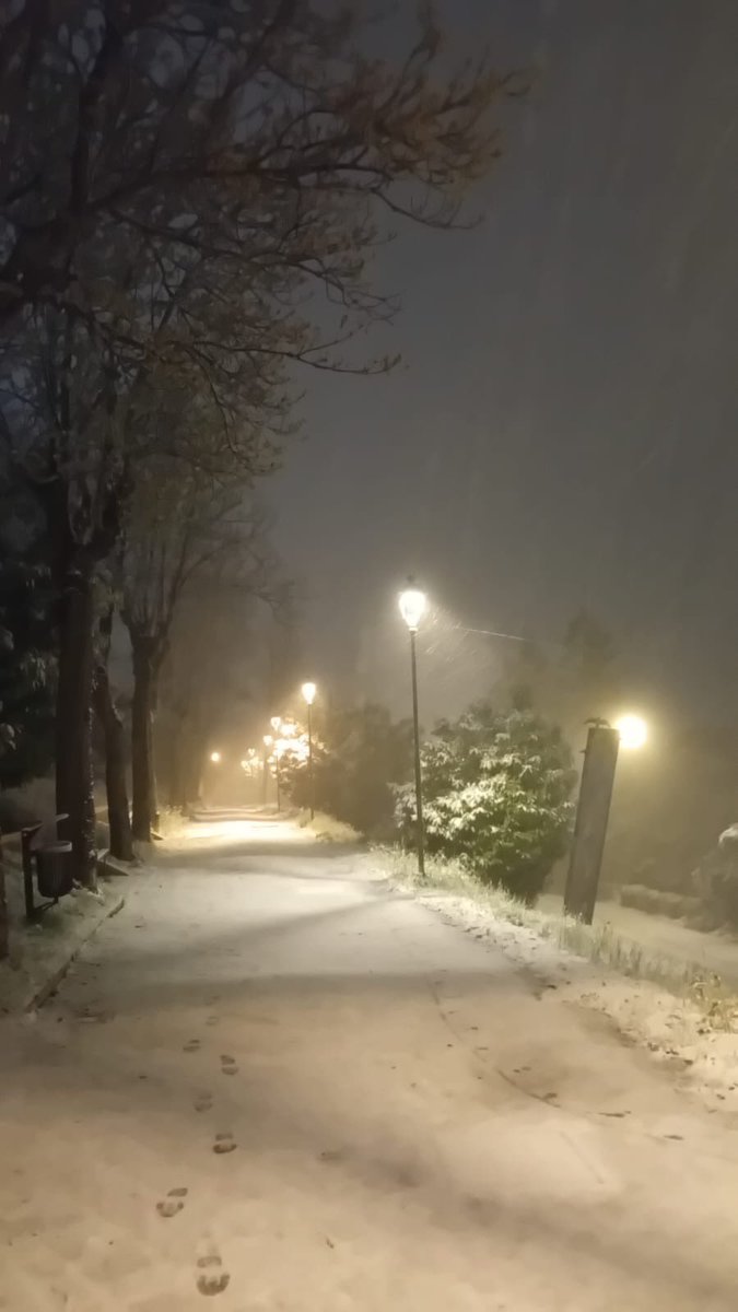 𝓟𝓲𝓰𝓷𝓸 (𝓘𝓵 𝓖𝓪𝓽𝓽𝓸) 🐝🧱 tweet media