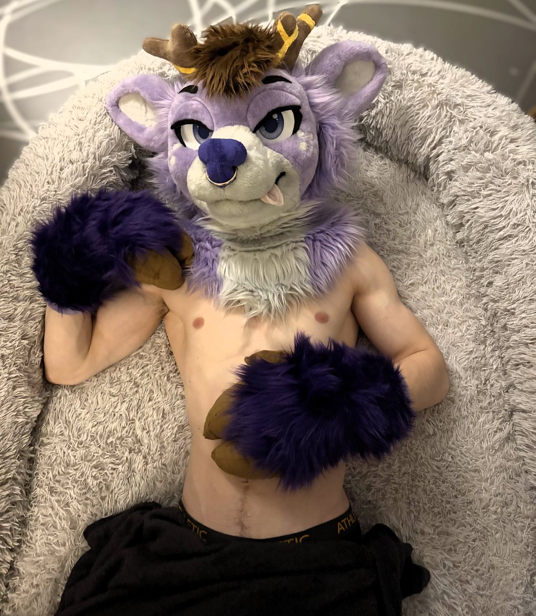 d'𝜶𝒏𝓽𝒆 🦌➡️ FAUN tweet media