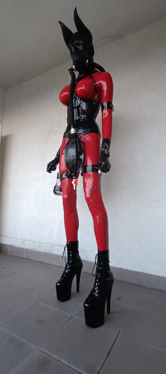 Rubbobject_Doll tweet media