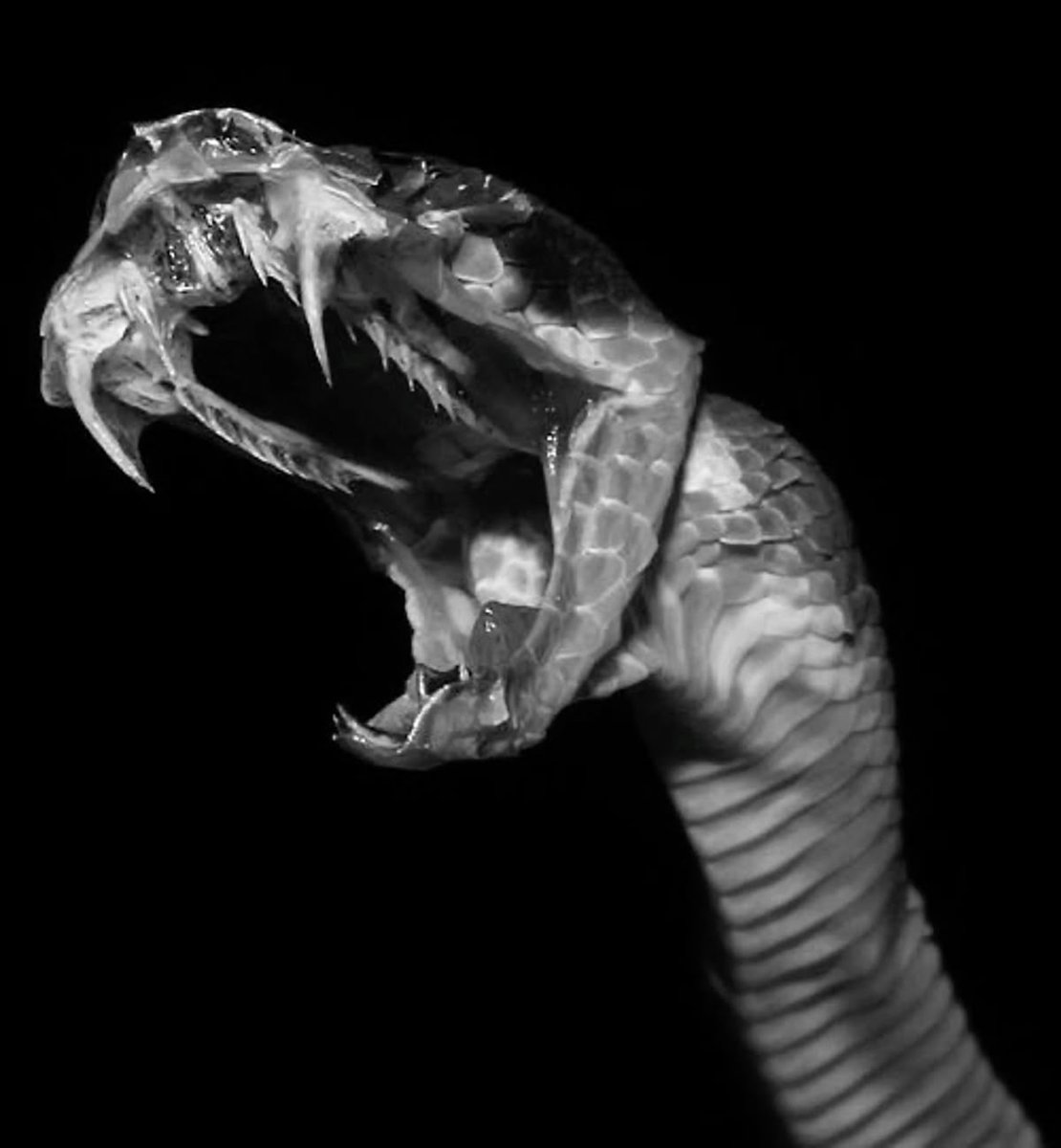 Yorgis 𝗞𝗼𝗿𝗱𝗼𝗻𝗶𝘀🫀🎨 tweet media