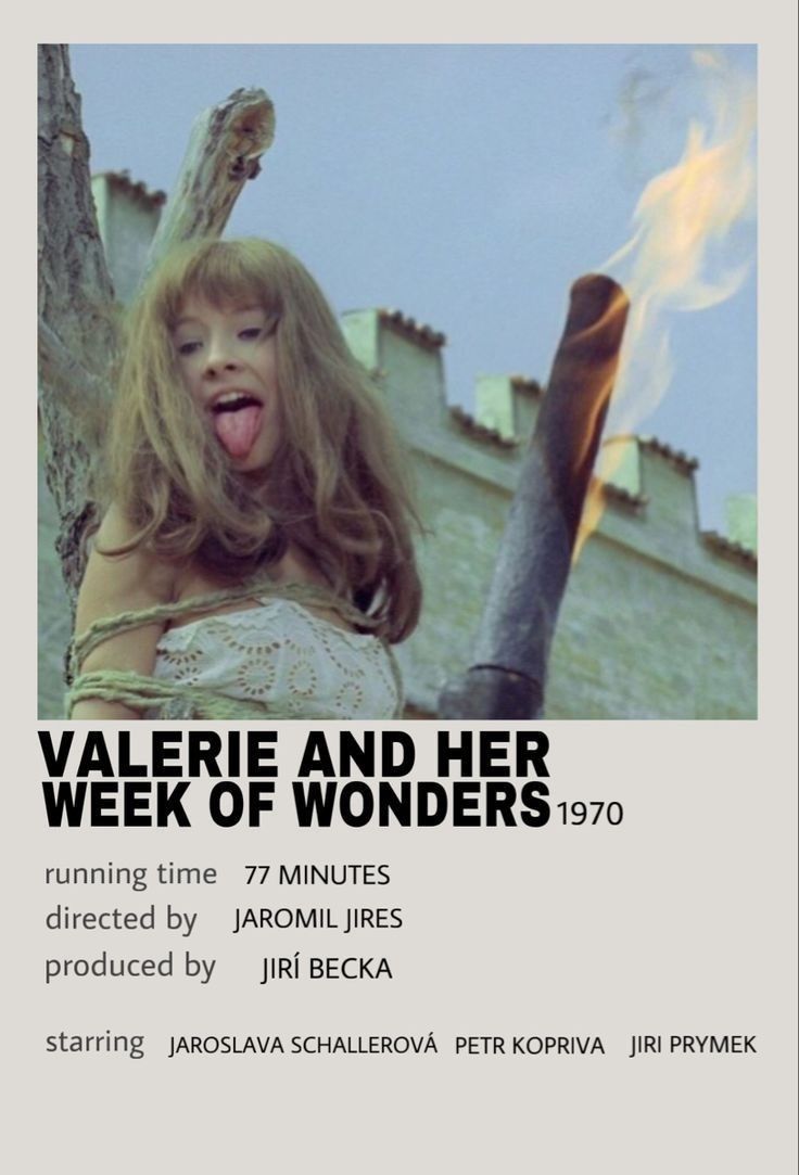 𐔌 . ⋮ sᥒoᥕ .ᐟ ֹ ₊ ꒱ tweet media