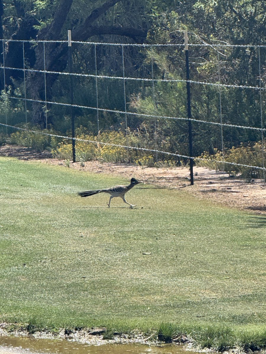 Nick Schmidt tweet media