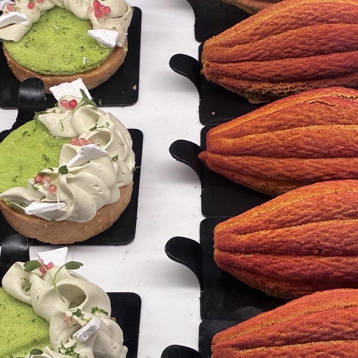 ✶⋆.˚ tweet media