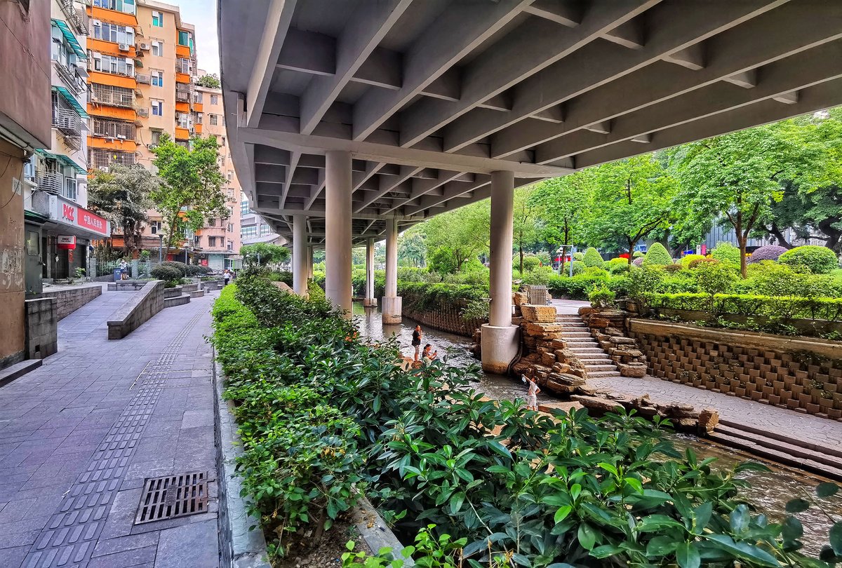 momo看世界 tweet media