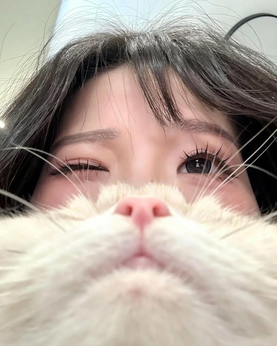 Cutecatpost's tweet photo. New idea to take photos with the baby at home. https://t.co/73iAMqaAZr