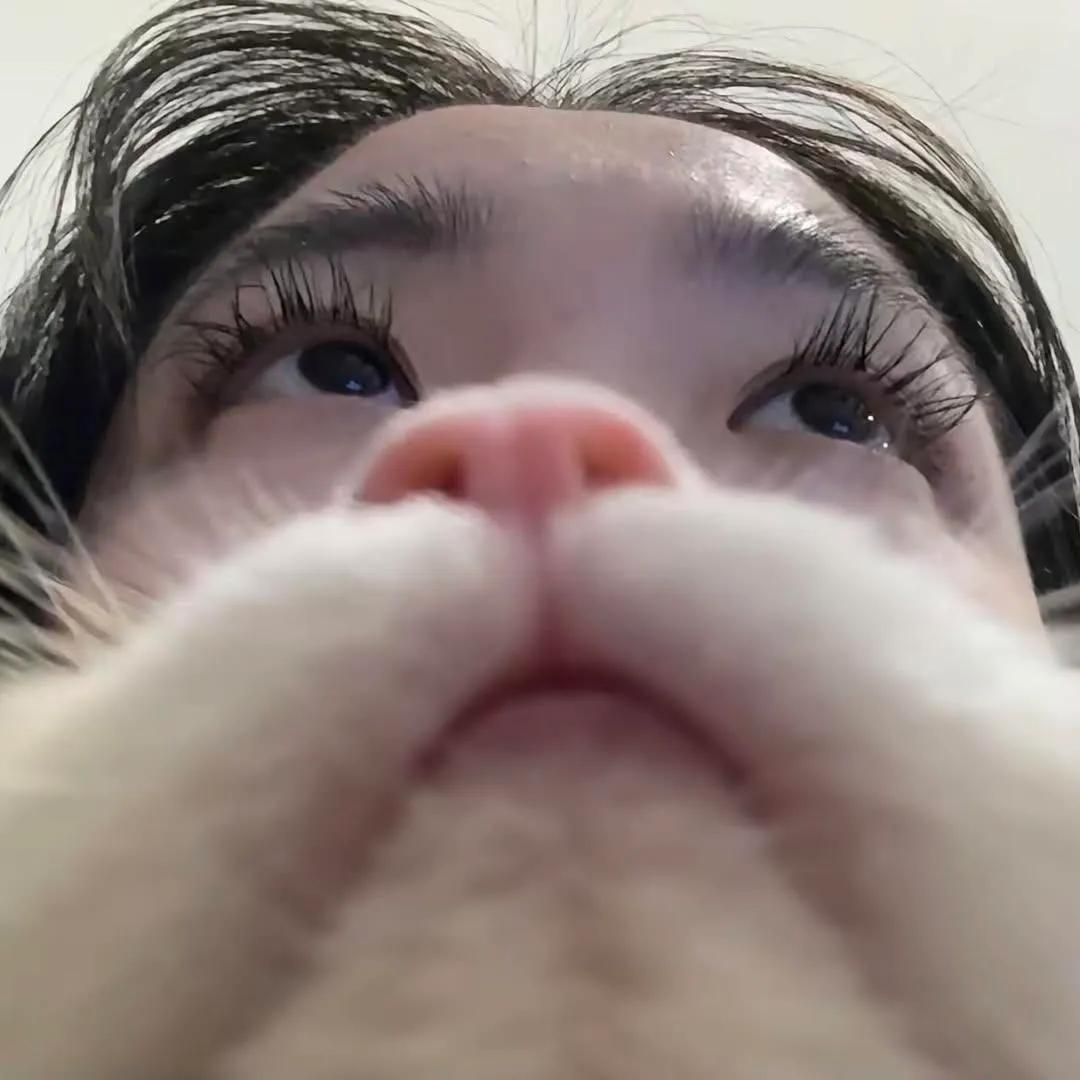 Cutecatpost's tweet photo. New idea to take photos with the baby at home. https://t.co/73iAMqaAZr