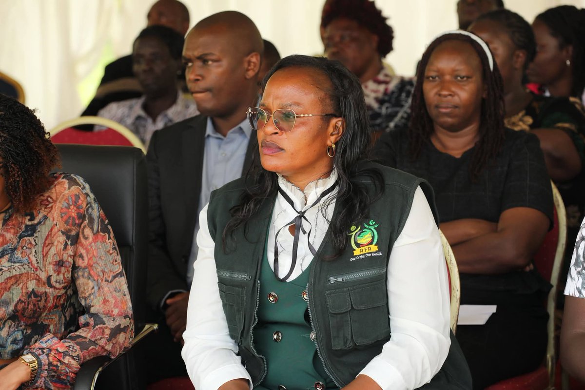 susankihika's tweet photo. Presided over the issuance of cheques totalling Sh26.8 million to 53 cooperative societies in Nakuru County under the NAVCDP programme, a key initiative aimed at transforming smallholder farming through value addition, improved market access, and increased farmer incomes. As committed in my manifesto, we continue to organise farmers into Saccos, creating strong structures for access to affordable credit and reliable markets.

I was encouraged by testimonies from farmers who have benefited from our grassroots empowerment programmes, including training, provision of farm inputs, subsidised AI services,  extension services and affordable loans through the Wezesha Fund. I encouraged cooperative societies to take advantage of the low-interest Wezesha Fund to expand their enterprises, noting that leading Saccos such as Olenguruone Dairy, Elburgon Progressive, and Suka Farmers Cooperative, among others, have received millions in loans.

These investments are already yielding results, with increased milk production, expanded acreage under key cash crops, growth in poultry farming, improved feed security, and progress in fisheries. I urged all beneficiaries to utilise the funds prudently to build sustainable enterprises that uplift livelihoods. 

Present were Agriculture CEC Leonard Bor, Deputy CS Newton Mwaura, Chief Officers Margaret Kinyanjui and Kibet Kurgat, and MCAs led by County Assembly Agriculture Committee Chairperson Isabella Makori.