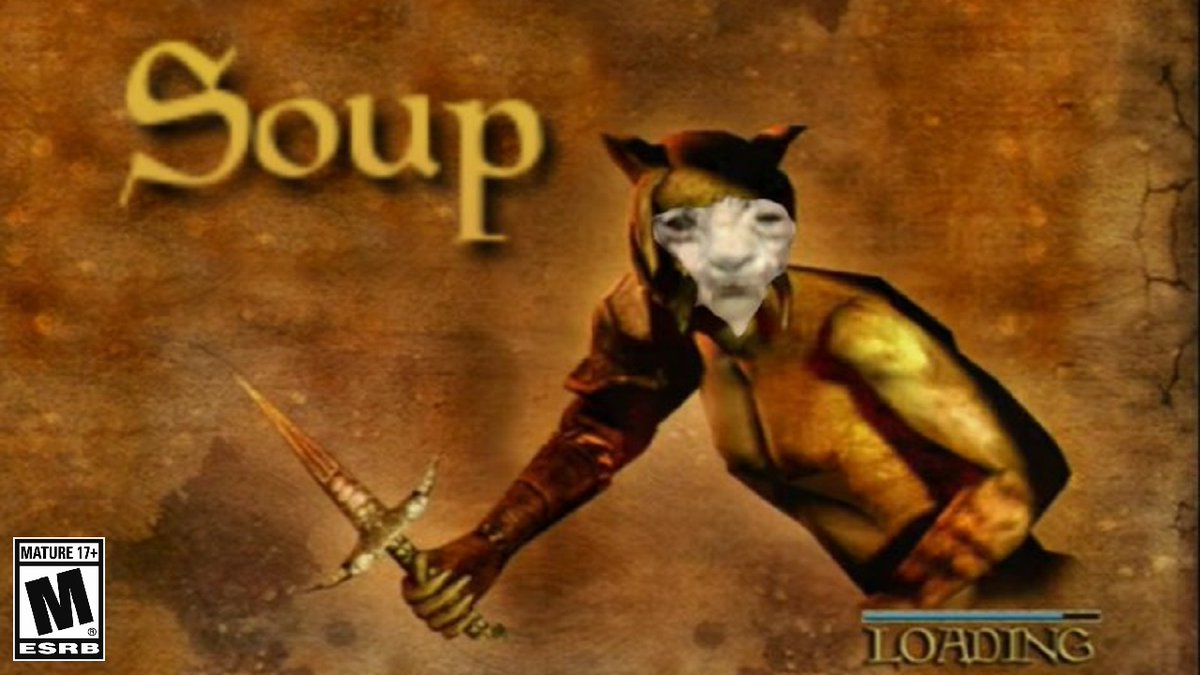 The Cat Lodge tweet media