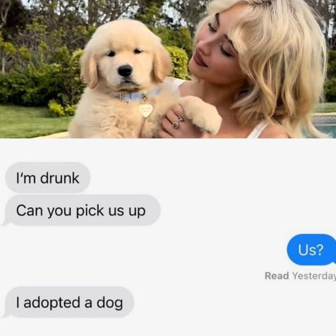 cata ౨ৎ tweet media