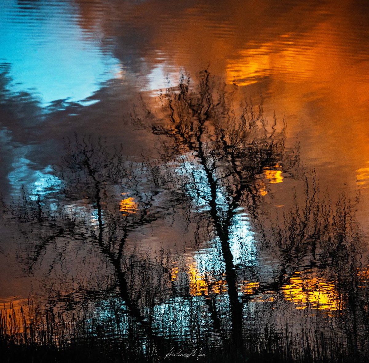 Kristin Mae Photography tweet media