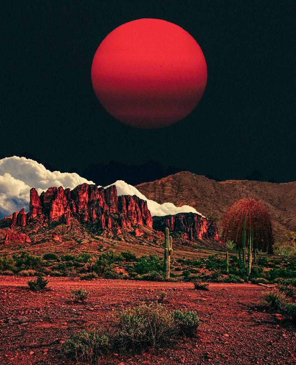 post wook ✨🌻 tweet media