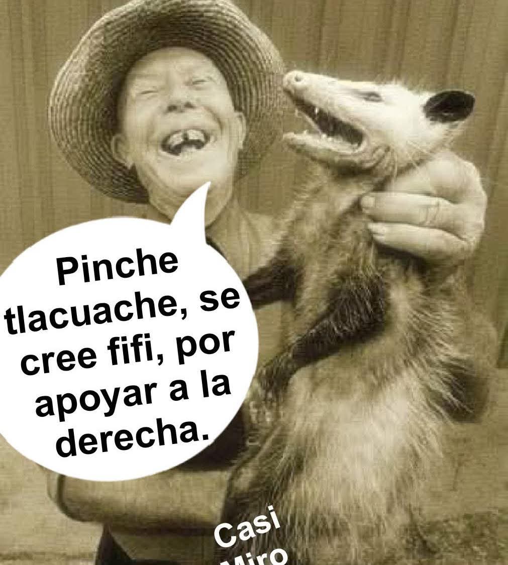 Fernando Barajas tweet media