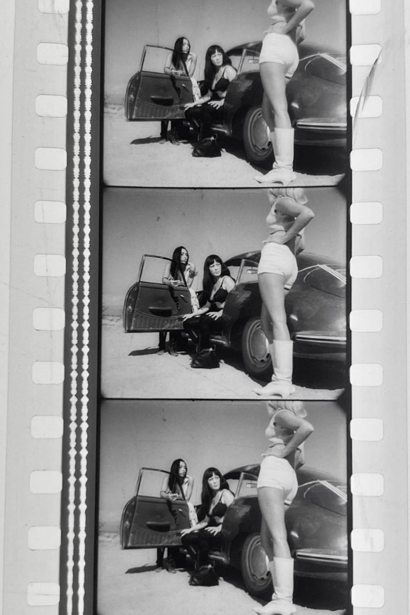 Mistress of the Reel™ tweet media